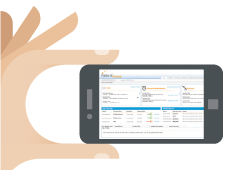 Mobile Phone Access
